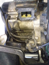 ns-1ws20120129 (9)