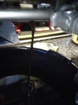 trickerFI20120129ws (6)