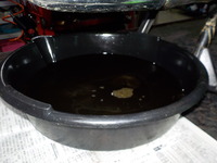 DSCN5284