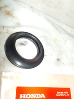 DSCN8910