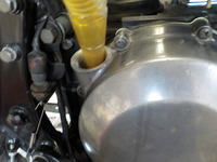 DSCN5424