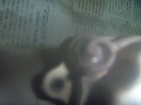 P1130759