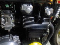 DSCN6236