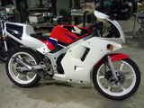 ns-1ws20120129 (52)