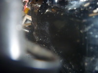 P1060495