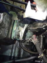 ns-1ws20120129 (35)