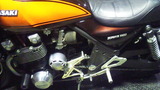 zep1100ws20120220 (1)