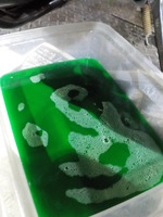 DSCN3976
