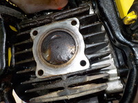 DSCN0488