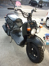 zoomer-af58ws20120216 (1)