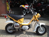 z-chappy50ws20120308 (1)