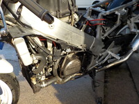 DSCN5376