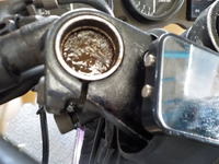 DSCN7136