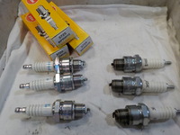 DSCN7492