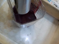 DSCN6634