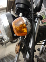 DSCI0368