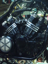 v-max20120208ws (14)