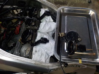 z50m?ws20180326 (3)