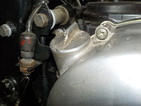 DSCN5282