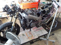 DSCN4531