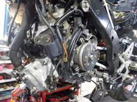 DSCN8274