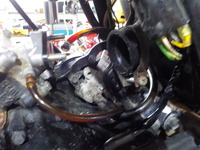 DSCN5702