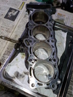 DSCN5263