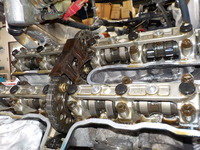 DSCN5390