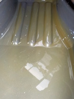 DSCN8857