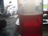 P1100044