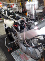 DSCN4534