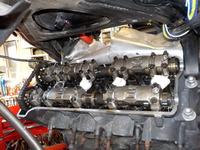 DSCN5246