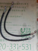 DSCN6908