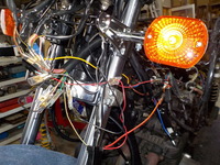 DSCN1229