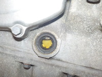 DSCN5648