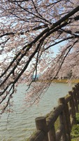 20190409_160042