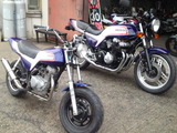 ape50fc20120121 (5)