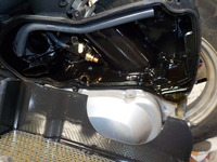 DSCN4244