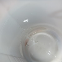 DSCF9283