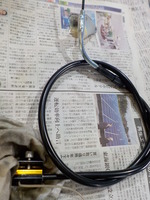 DSCN8174