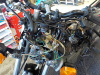 DSCN0869