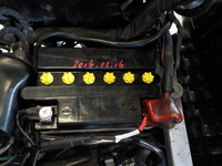 DSCN0985