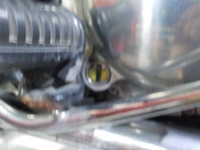 DSCN7917