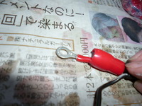 P1000029