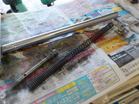 DSCN8229
