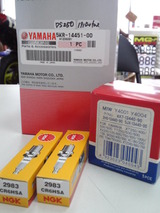 ds250-vh02j20120622ws (6)
