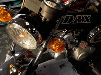 DSCN9290