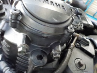 DSCN3379