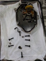 DSCN0955