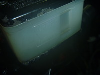 P1120684